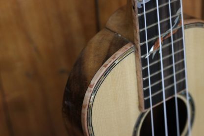 Humpback Concert Ukulele - Solid Engelmann Spruce Top, Solid Acacia Humpback - Image 7
