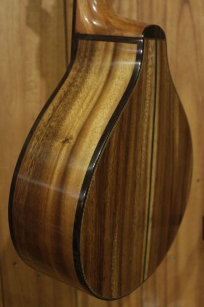 Bandurria - Engelmann Spruce Top and Acacia Back and Sides - Image 6