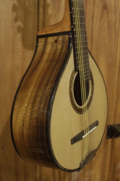 Bandurria - Engelmann Spruce Top and Acacia Back and Sides - Image 5