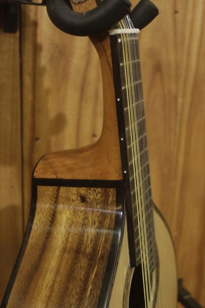 Bandurria - Engelmann Spruce Top and Acacia Back and Sides - Image 13