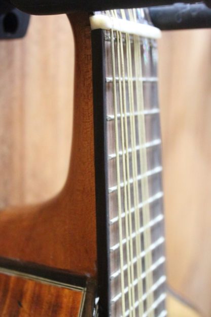 Bandurria - Engelmann Spruce Top and Premium Mahogany Back and Sides - Image 13