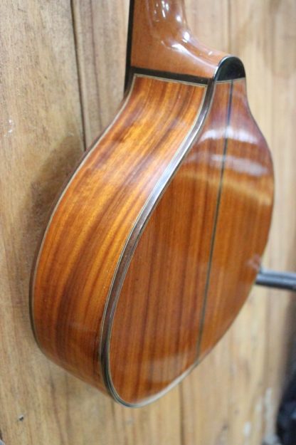 Bandurria - Engelmann Spruce Top and Premium Mahogany Back and Sides - Image 9
