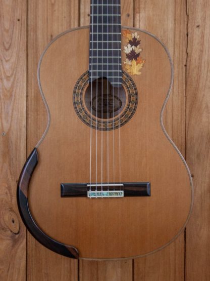 Classical - Red Cedar Top, Maple Back and Sides - Image 5