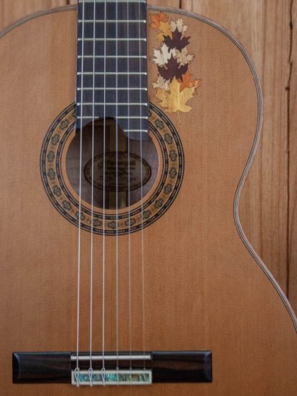 Classical - Red Cedar Top, Maple Back and Sides - Image 9