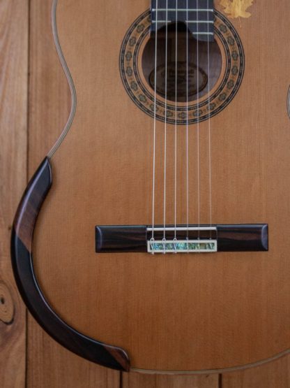 Classical - Red Cedar Top, Maple Back and Sides - Image 10