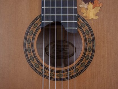 Classical - Red Cedar Top, Maple Back and Sides - Image 12