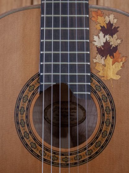Classical - Red Cedar Top, Maple Back and Sides - Image 13
