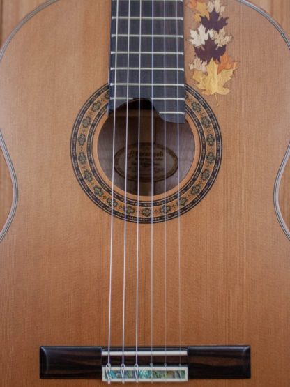 Classical - Red Cedar Top, Maple Back and Sides - Image 14