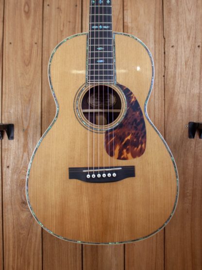 00-12 Fret - Torrefied Adirondack Spruce top, Cocobolo back and sides - Image 5