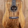 Dreadnought - Spalted Mango top, Philippine Ebony back and sides - Image 5