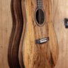 Dreadnought - Spalted Mango top, Philippine Ebony back and sides - Image 6