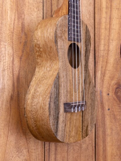Super Concert Ukulele - Mango Entry-Level - Image 6