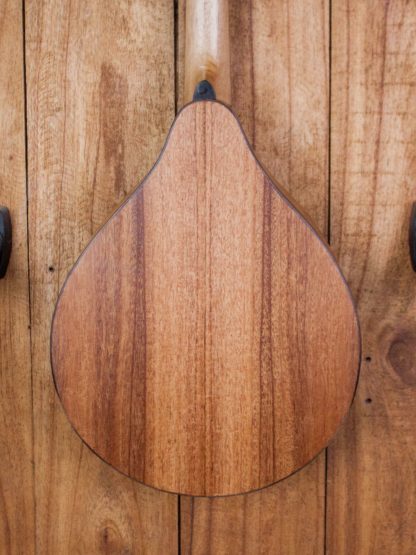 Mandolin - Mahogany Entry-Level - Image 8