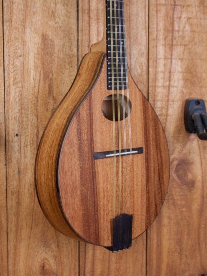 Mandolin - Mahogany Entry-Level - Image 6