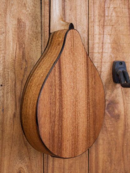Mandolin - Mahogany Entry-Level - Image 7