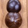 Soprano Cocolele - Acacia Top, Coconut Shell Back and Sides - Image 8