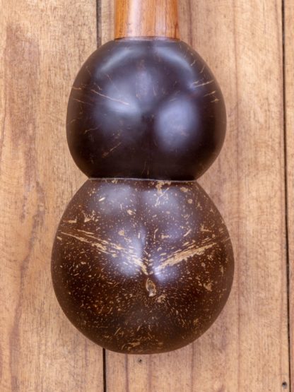 Soprano Cocolele - Acacia Top, Coconut Shell Back and Sides - Image 8