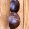Soprano Cocolele - Acacia Top, Coconut Shell Back and Sides - Image 7