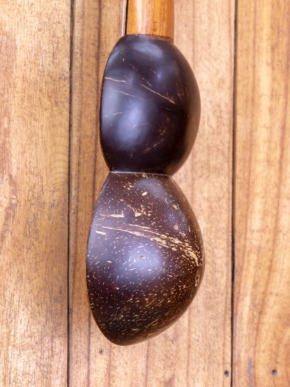 Soprano Cocolele - Acacia Top, Coconut Shell Back and Sides - Image 7