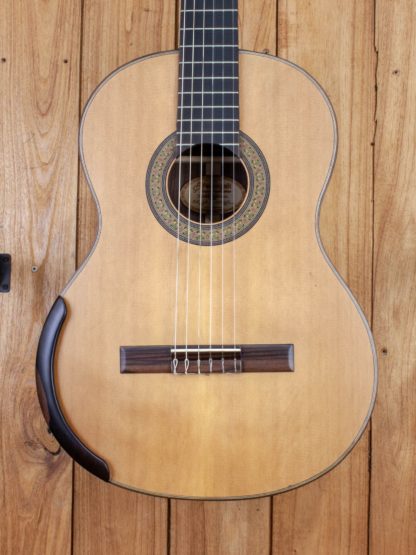 Classical - Western Red Cedar Top, Indian Rosewood Back and Sides - Image 6