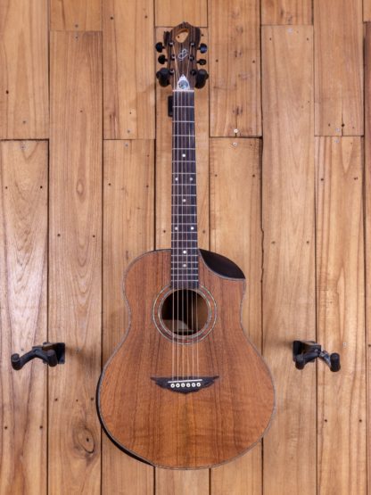 GS-Travel - Mahogany Top, Back and Sides