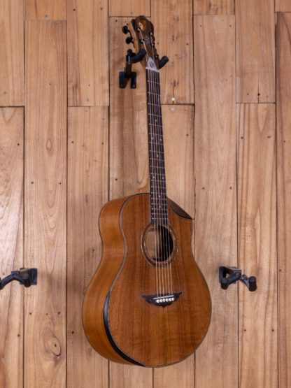 GS-Travel - Mahogany Top, Back and Sides - Image 2
