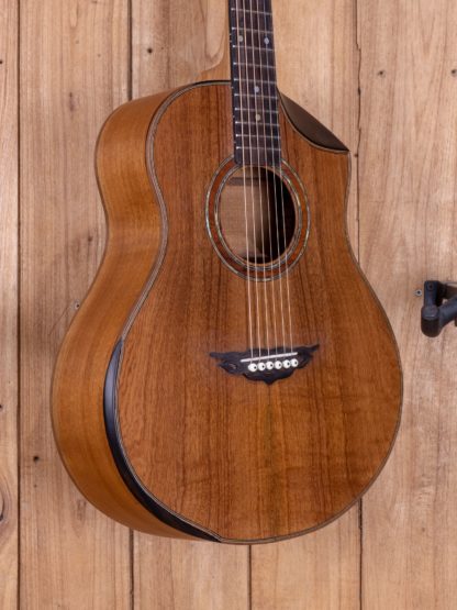 GS-Travel - Mahogany Top, Back and Sides - Image 6
