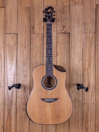 Dreadnought - Mahogany Top, Back and Sides