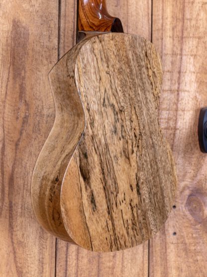 Concert Ukulele - Mango Entry-Level (Glossy) - Image 7