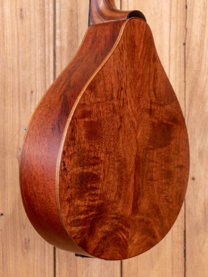 Irish Bouzouki - Mango Top, Back, and Sides - Image 7
