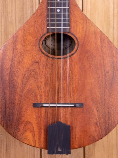 Irish Bouzouki - Mango Top, Back, and Sides - Image 5