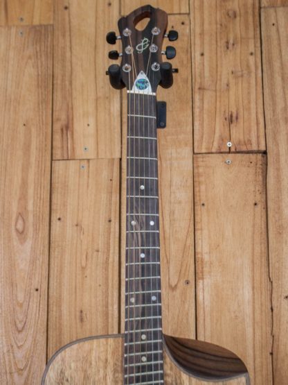 Fanned-Fret Dreadnought - Mango Top, Back and Sides - Image 10