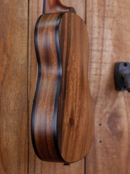 Archtop Tenor Ukulele - Acacia Top, Back, and Sides - Image 7
