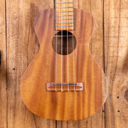 Anj-Series Mahogany Concert Ukulele - Image 6