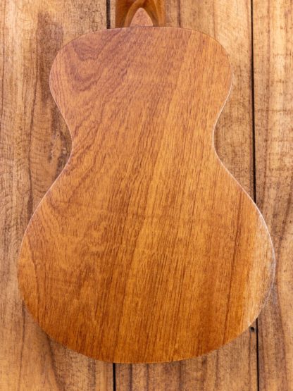 Anj-Series Mahogany Concert Ukulele - Image 9