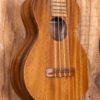 Anj-Series Mahogany Concert Ukulele - Image 7