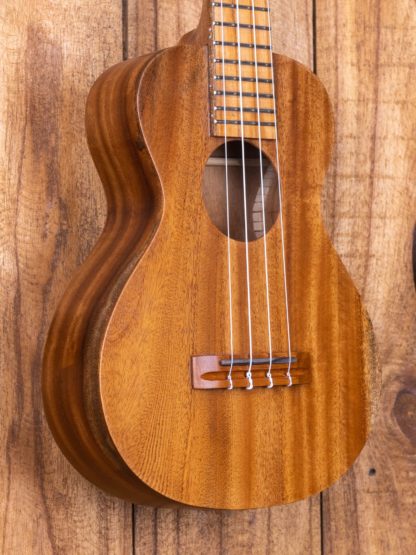 Anj-Series Mahogany Concert Ukulele - Image 7