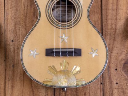 Custom Build #189 - Engelmann Spruce/Spalted Mango Concert Ukulele - Image 10