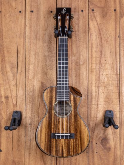 Era-Series Acacia Concert Ukulele (Glossy)