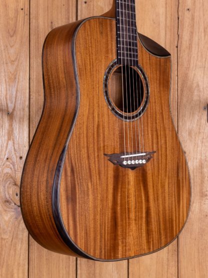Dreadnought - Mahogany Top, Back and Sides - Image 6