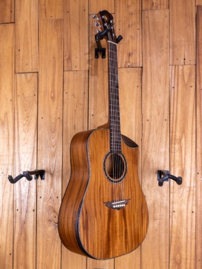 Dreadnought - Mahogany Top, Back and Sides - Image 2