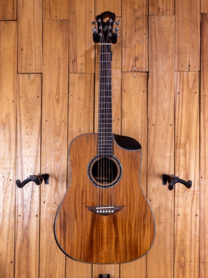 Dreadnought - Mahogany Top, Back and Sides
