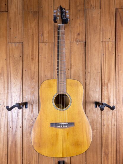 Anj-Series 2 - Jackfruit Dreadnought Guitar