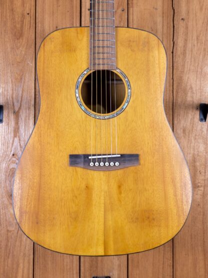 Anj-Series 2 - Jackfruit Dreadnought Guitar - Image 5