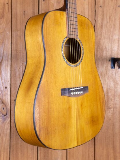 Anj-Series 2 - Jackfruit Dreadnought Guitar - Image 6