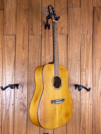 Anj-Series 2 - Jackfruit Dreadnought Guitar - Image 2