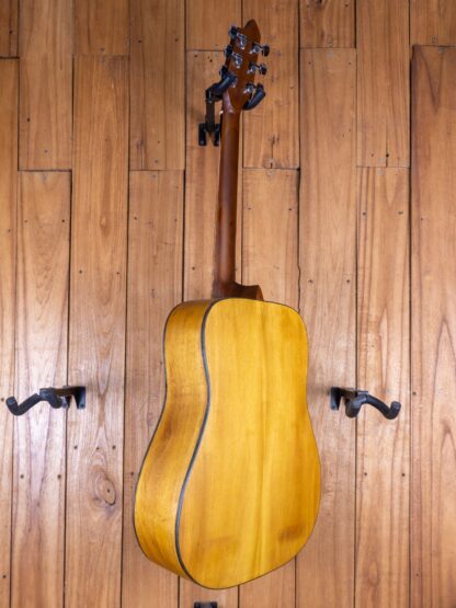 Anj-Series 2 - Jackfruit Dreadnought Guitar - Image 3
