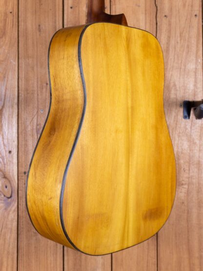 Anj-Series 2 - Jackfruit Dreadnought Guitar - Image 7