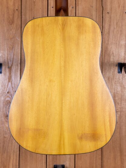 Anj-Series 2 - Jackfruit Dreadnought Guitar - Image 8