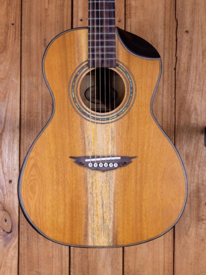 000-Travel - Jackfruit Top, Back and Sides - Image 5